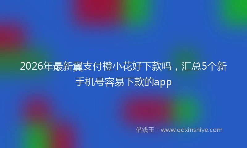 2026年最新翼支付橙小花好下款吗，汇总5个新手机号容易下款的app
