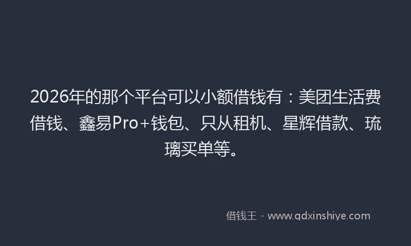 2026年的那个平台可以小额借钱有：美团生活费借钱、鑫易Pro+钱包、只从租机、星辉借款、琉璃买单等。