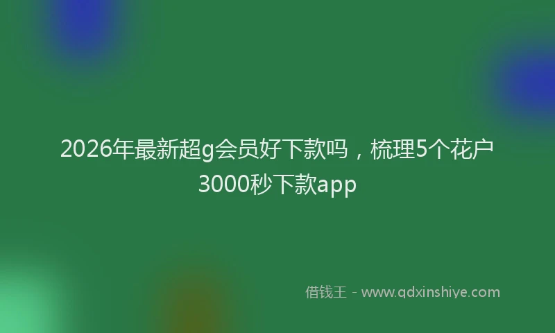 2026年最新超g会员好下款吗，梳理5个花户3000秒下款app