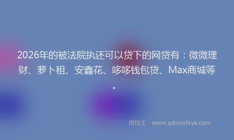 2026年的被法院执还可以贷下的网贷有：微微理财、萝卜租、安鑫花、哆哆钱包贷、Max商城等。
