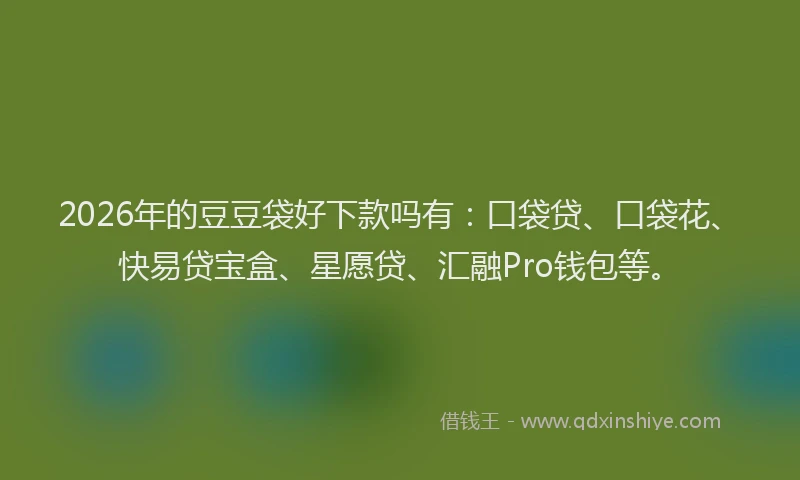 2026年的豆豆袋好下款吗有：口袋贷、口袋花、快易贷宝盒、星愿贷、汇融Pro钱包等。