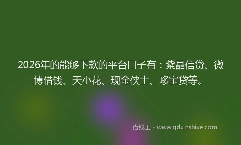 2026年的能够下款的平台口子有：紫晶信贷、微博借钱、天小花、现金侠士、哆宝贷等。