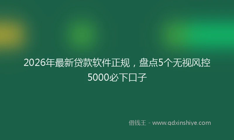 2026年最新贷款软件正规，盘点5个无视风控5000必下口子