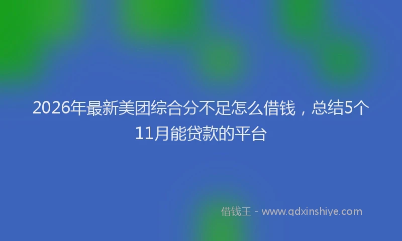 2026年最新美团综合分不足怎么借钱，总结5个11月能贷款的平台