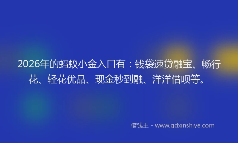2026年的蚂蚁小金入口有：钱袋速贷融宝、畅行花、轻花优品、现金秒到融、洋洋借呗等。