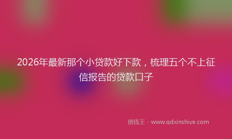 2026年最新那个小贷款好下款，梳理五个不上征信报告的贷款口子
