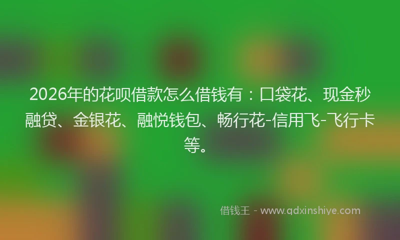 2026年的花呗借款怎么借钱有：口袋花、现金秒融贷、金银花、融悦钱包、畅行花-信用飞-飞行卡等。