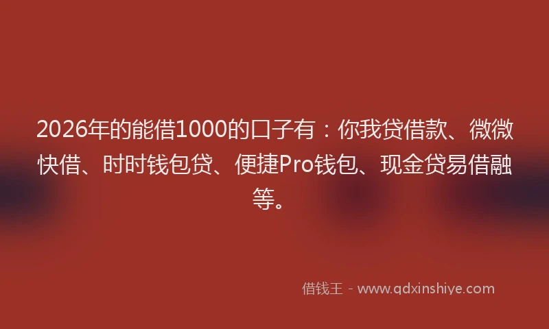 2026年的能借1000的口子有：你我贷借款、微微快借、时时钱包贷、便捷Pro钱包、现金贷易借融等。