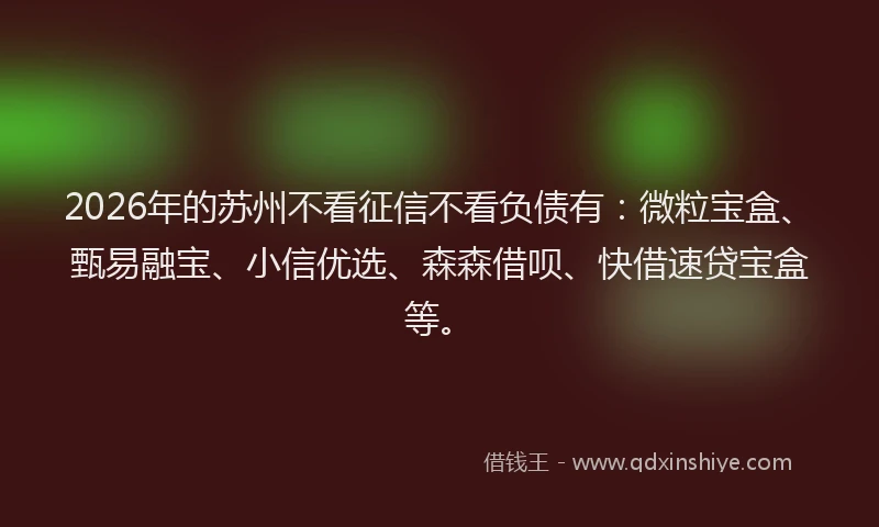2026年的苏州不看征信不看负债有：微粒宝盒、甄易融宝、小信优选、森森借呗、快借速贷宝盒等。