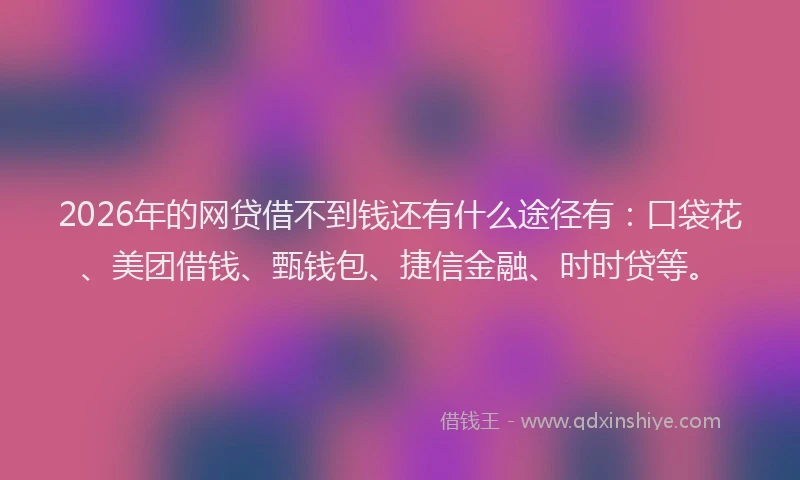 2026年的网贷借不到钱还有什么途径有：口袋花、美团借钱、甄钱包、捷信金融、时时贷等。