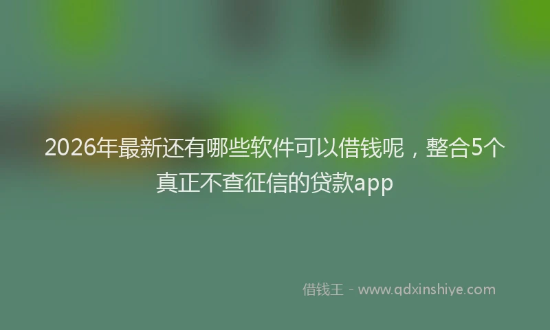 2026年最新还有哪些软件可以借钱呢，整合5个真正不查征信的贷款app
