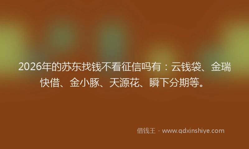 2026年的苏东找钱不看征信吗有：云钱袋、金瑞快借、金小豚、天源花、瞬下分期等。
