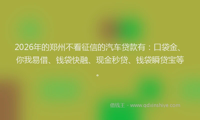 2026年的郑州不看征信的汽车贷款有：口袋金、你我易借、钱袋快融、现金秒贷、钱袋瞬贷宝等。