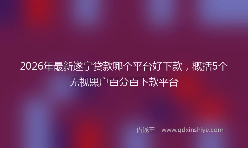 2026年最新遂宁贷款哪个平台好下款，概括5个无视黑户百分百下款平台