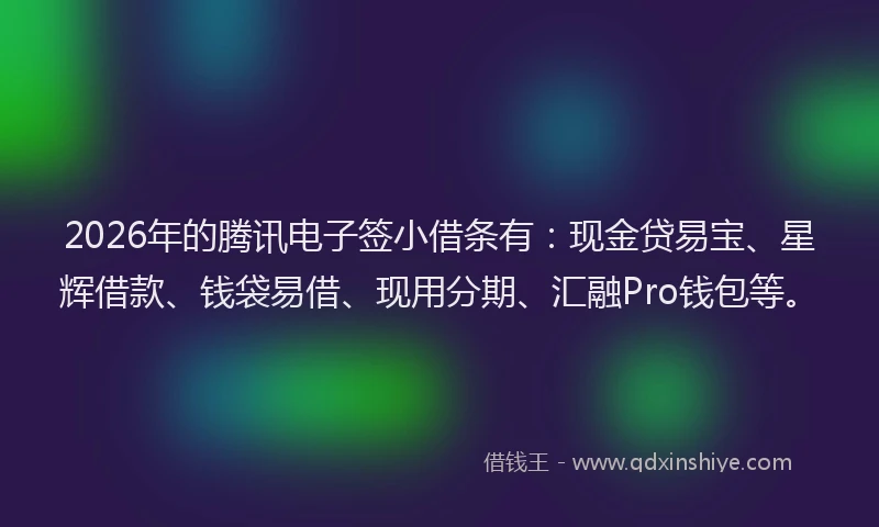 2026年的腾讯电子签小借条有：现金贷易宝、星辉借款、钱袋易借、现用分期、汇融Pro钱包等。