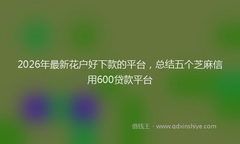 2026年最新花户好下款的平台，总结五个芝麻信用600贷款平台