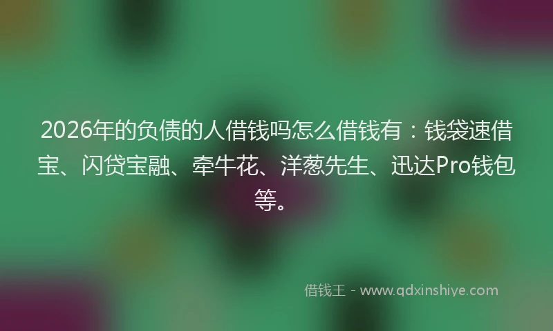 2026年的负债的人借钱吗怎么借钱有：钱袋速借宝、闪贷宝融、牵牛花、洋葱先生、迅达Pro钱包等。