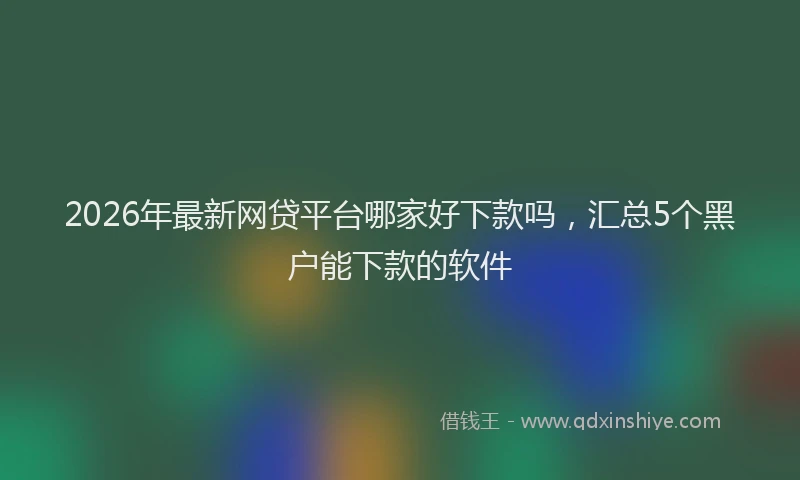 2026年最新网贷平台哪家好下款吗，汇总5个黑户能下款的软件
