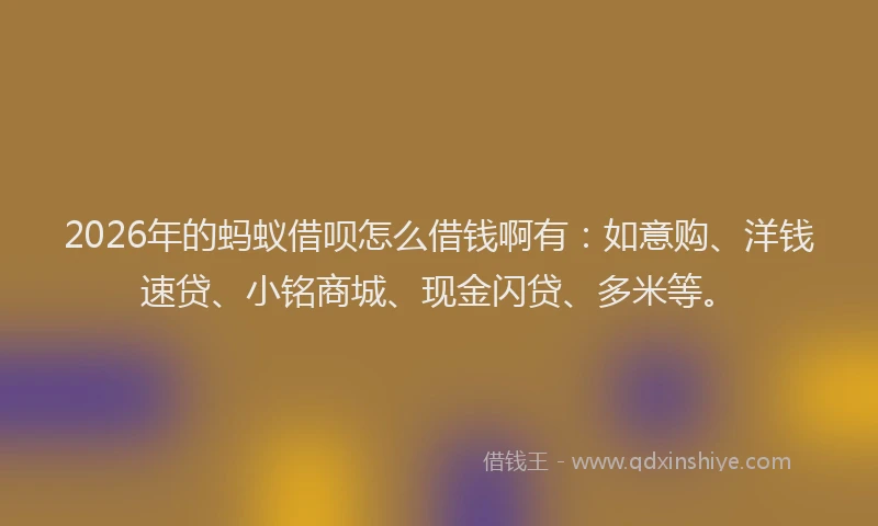 2026年的蚂蚁借呗怎么借钱啊有：如意购、洋钱速贷、小铭商城、现金闪贷、多米等。
