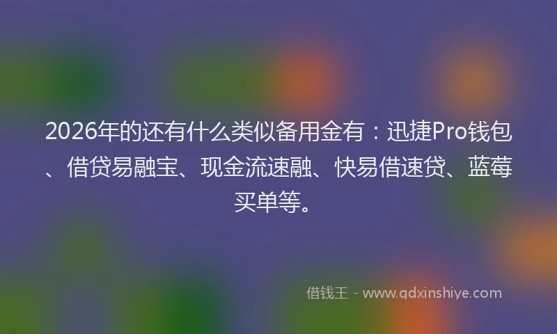 2026年的还有什么类似备用金有：迅捷Pro钱包、借贷易融宝、现金流速融、快易借速贷、蓝莓买单等。
