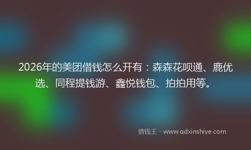 2026年的美团借钱怎么开有：森森花呗通、鹿优选、同程提钱游、鑫悦钱包、拍拍用等。