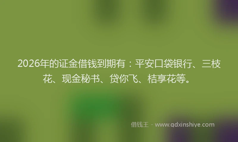 2026年的证金借钱到期有：平安口袋银行、三枝花、现金秘书、贷你飞、桔享花等。