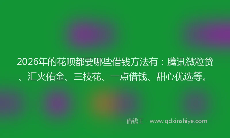 2026年的花呗都要哪些借钱方法有：腾讯微粒贷、汇火佑金、三枝花、一点借钱、甜心优选等。