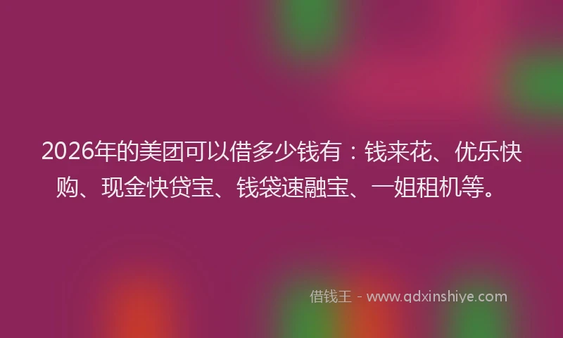 2026年的美团可以借多少钱有：钱来花、优乐快购、现金快贷宝、钱袋速融宝、一姐租机等。