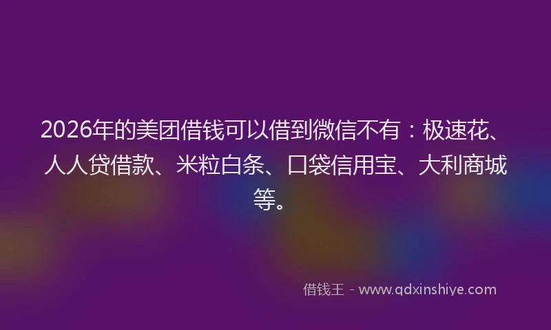 2026年的美团借钱可以借到微信不有：极速花、人人贷借款、米粒白条、口袋信用宝、大利商城等。