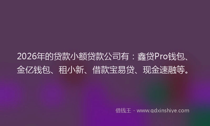 2026年的贷款小额贷款公司有：鑫贷Pro钱包、金亿钱包、租小新、借款宝易贷、现金速融等。