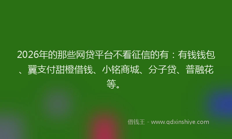 2026年的那些网贷平台不看征信的有：有钱钱包、翼支付甜橙借钱、小铭商城、分子贷、普融花等。