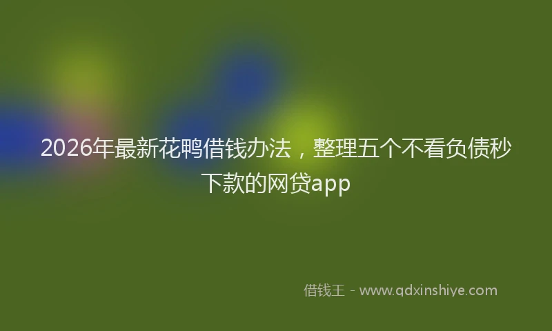 2026年最新花鸭借钱办法，整理五个不看负债秒下款的网贷app