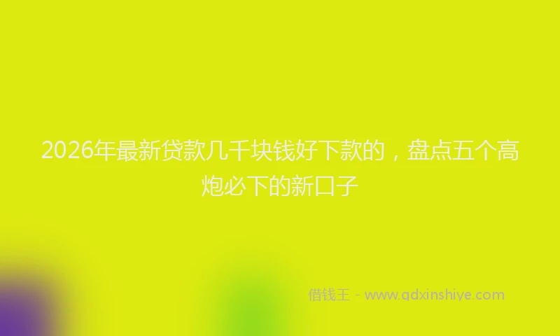 2026年最新贷款几千块钱好下款的，盘点五个高炮必下的新口子