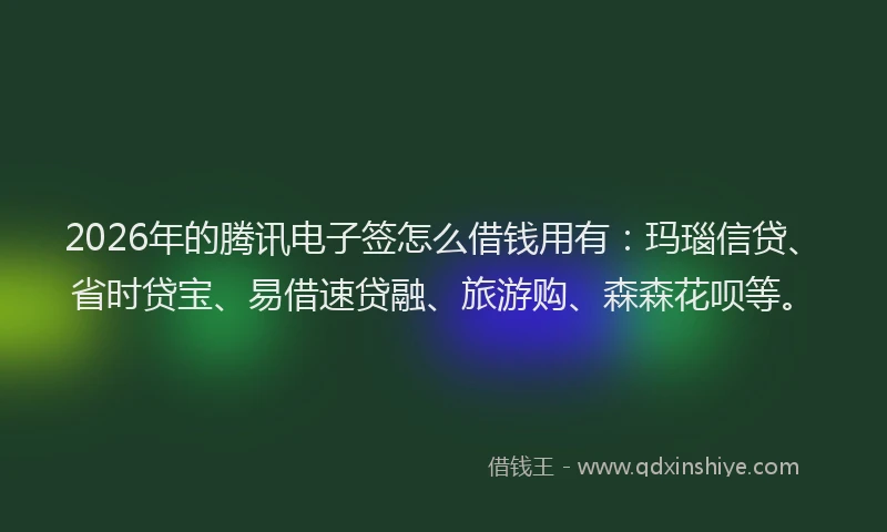 2026年的腾讯电子签怎么借钱用有：玛瑙信贷、省时贷宝、易借速贷融、旅游购、森森花呗等。