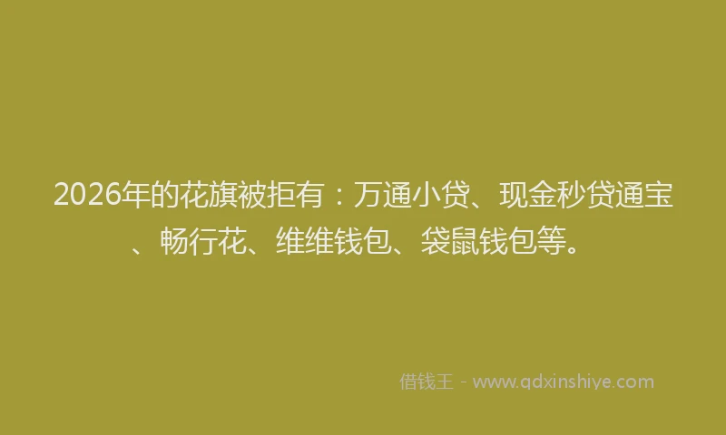 2026年的花旗被拒有：万通小贷、现金秒贷通宝、畅行花、维维钱包、袋鼠钱包等。