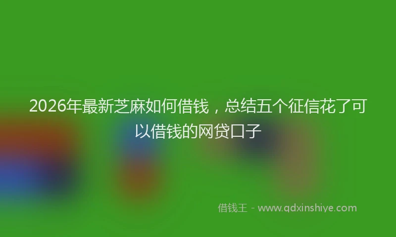 2026年最新芝麻如何借钱，总结五个征信花了可以借钱的网贷口子