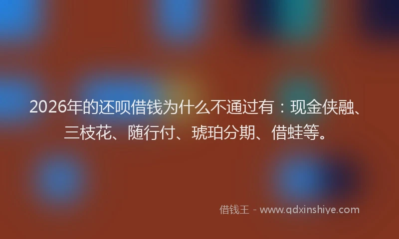 2026年的还呗借钱为什么不通过有：现金侠融、三枝花、随行付、琥珀分期、借蛙等。