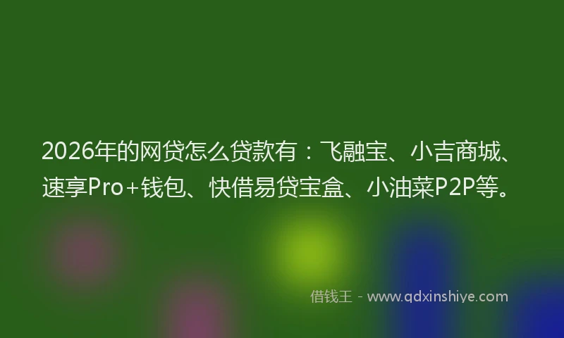 2026年的网贷怎么贷款有：飞融宝、小吉商城、速享Pro+钱包、快借易贷宝盒、小油菜P2P等。