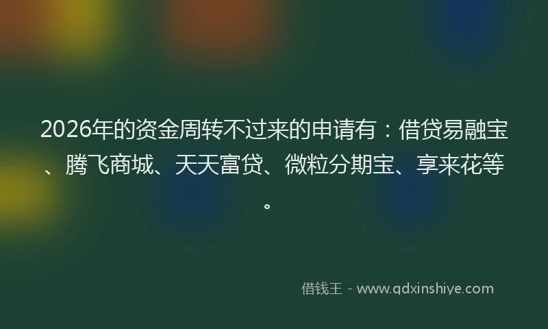 2026年的资金周转不过来的申请有：借贷易融宝、腾飞商城、天天富贷、微粒分期宝、享来花等。