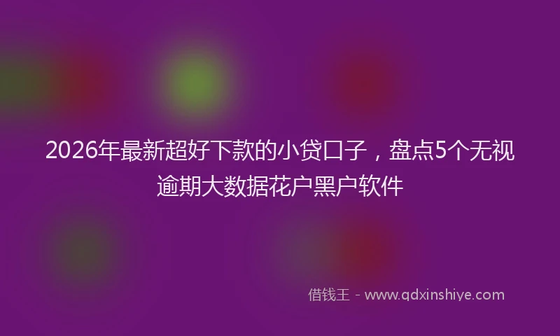 2026年最新超好下款的小贷口子，盘点5个无视逾期大数据花户黑户软件