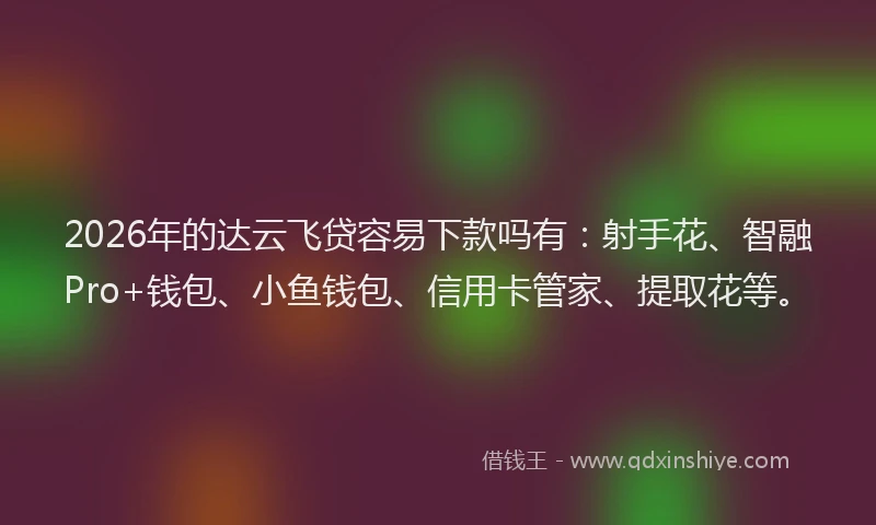 2026年的达云飞贷容易下款吗有：射手花、智融Pro+钱包、小鱼钱包、信用卡管家、提取花等。