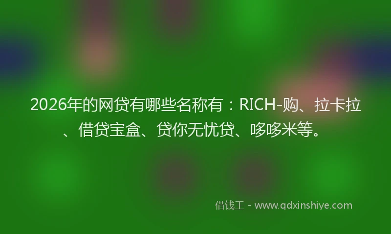 2026年的网贷有哪些名称有：RICH-购、拉卡拉、借贷宝盒、贷你无忧贷、哆哆米等。