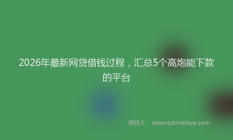 2026年最新网贷借钱过程，汇总5个高炮能下款的平台