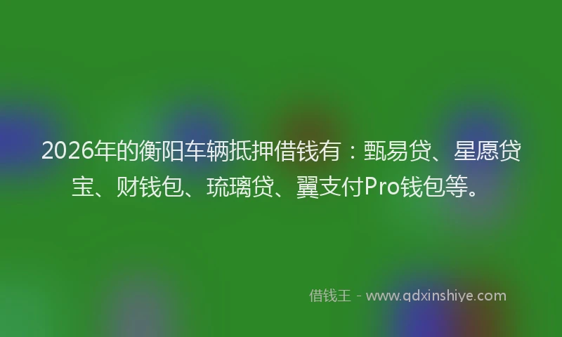 2026年的衡阳车辆抵押借钱有：甄易贷、星愿贷宝、财钱包、琉璃贷、翼支付Pro钱包等。