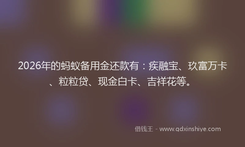 2026年的蚂蚁备用金还款有：疾融宝、玖富万卡、粒粒贷、现金白卡、吉祥花等。