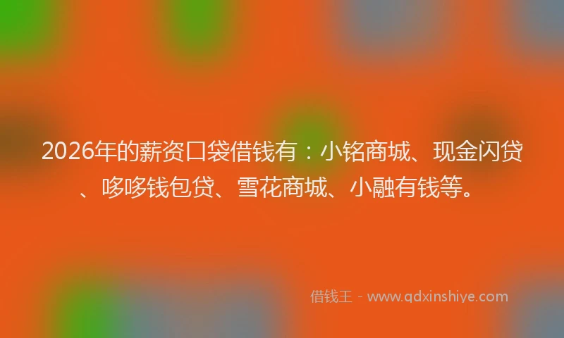 2026年的薪资口袋借钱有：小铭商城、现金闪贷、哆哆钱包贷、雪花商城、小融有钱等。