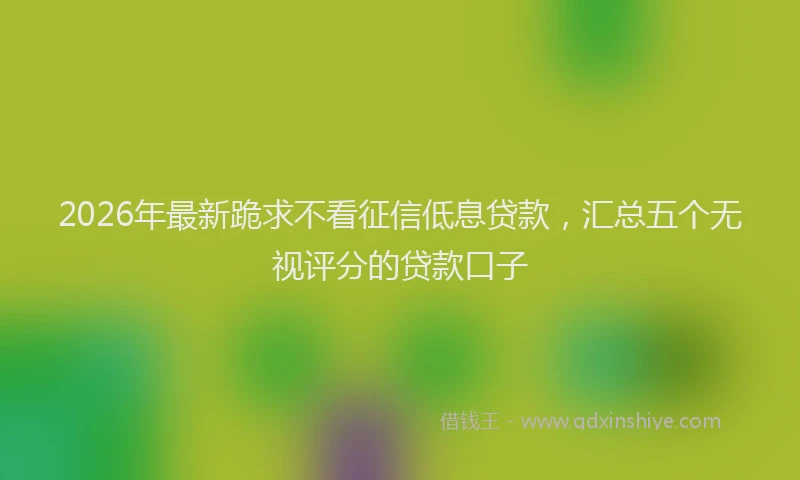 2026年最新跪求不看征信低息贷款，汇总五个无视评分的贷款口子