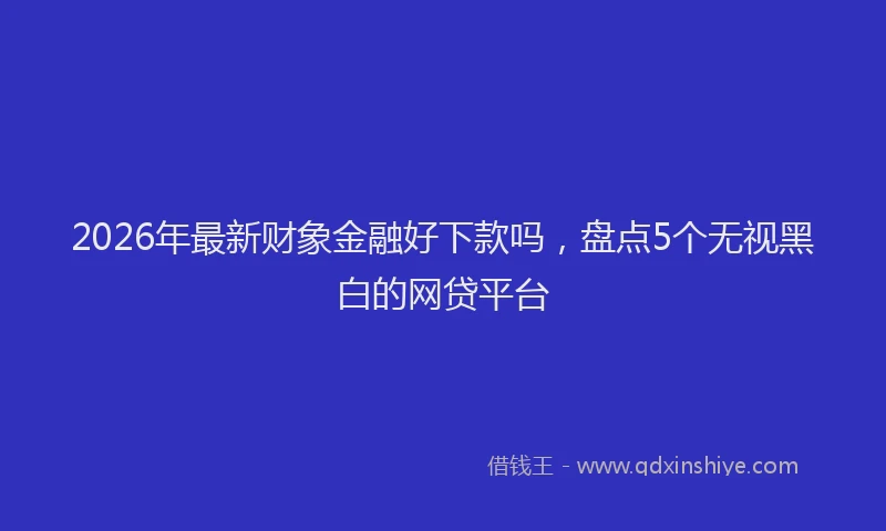 2026年最新财象金融好下款吗，盘点5个无视黑白的网贷平台