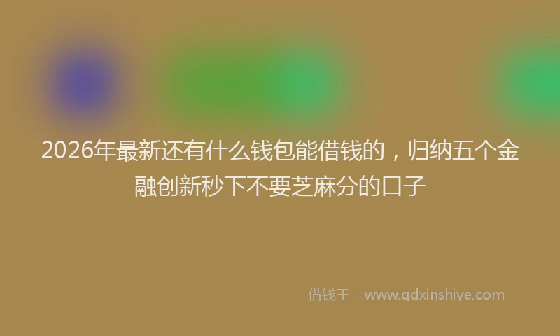 2026年最新还有什么钱包能借钱的，归纳五个金融创新秒下不要芝麻分的口子