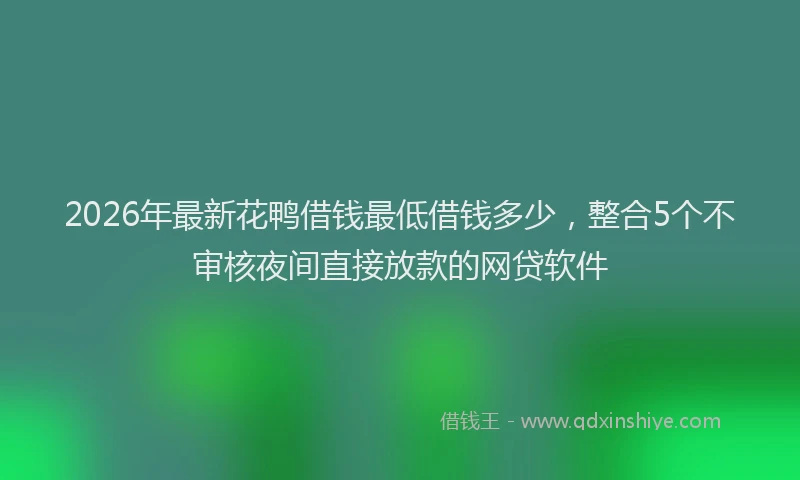 2026年最新花鸭借钱最低借钱多少，整合5个不审核夜间直接放款的网贷软件
